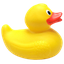 :rubberduck: